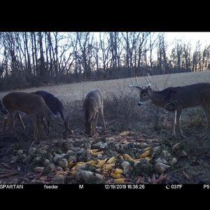 Meet your Posher, Josh